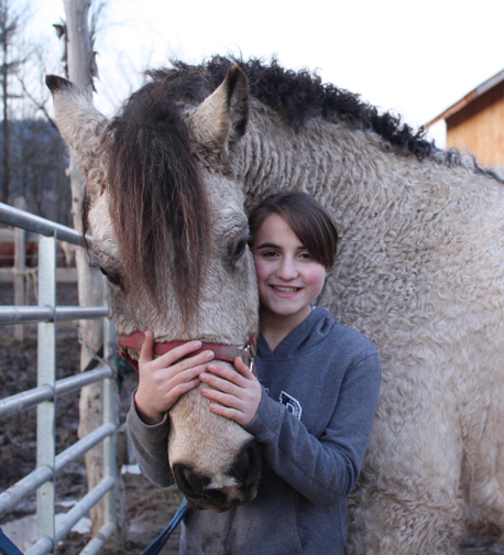 American Bashkir Curly Horse